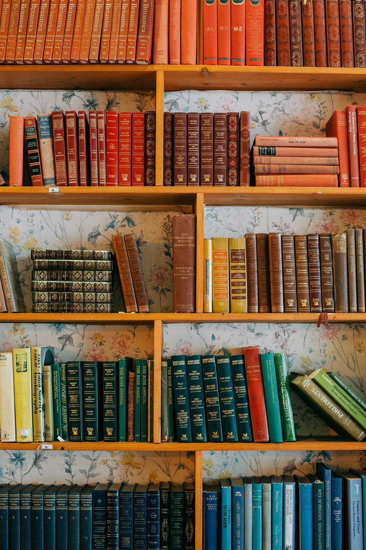 For A Different Booklist: Old hardbacks and paperbacks on warm wooden shelves (portrait).