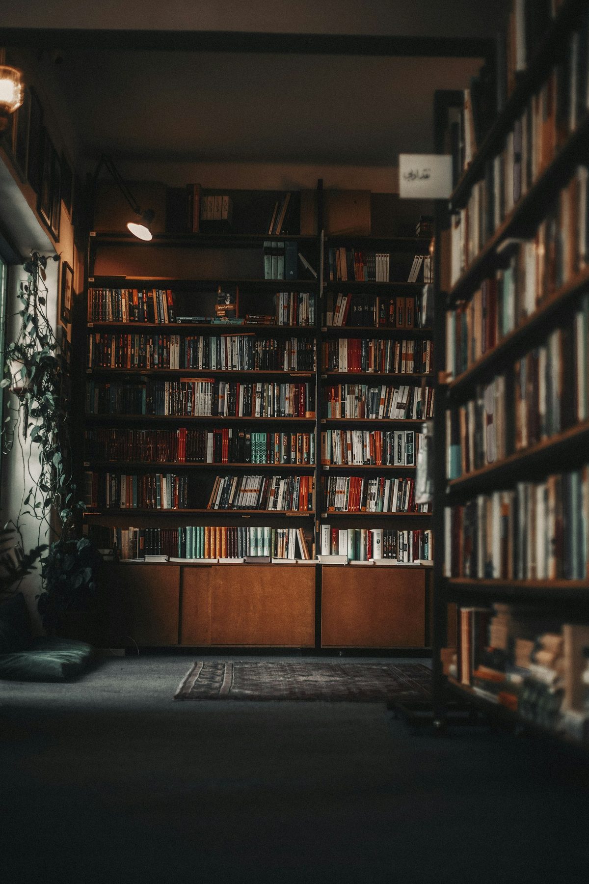 For Another Story Bookshop: A dim, book-lined shop interior with tall shelves and warm light (portrait).