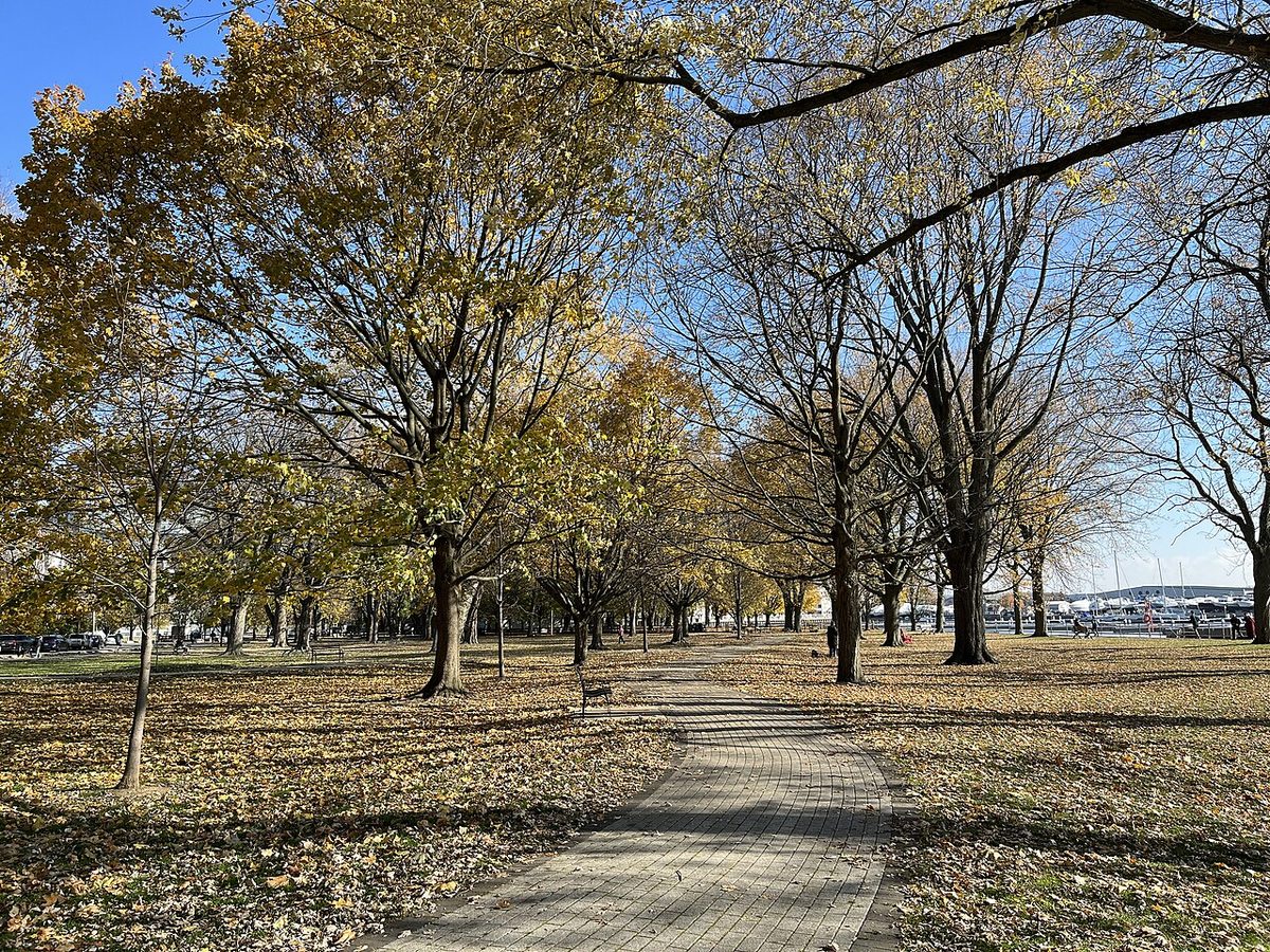 Coronation Park, Harbourfront