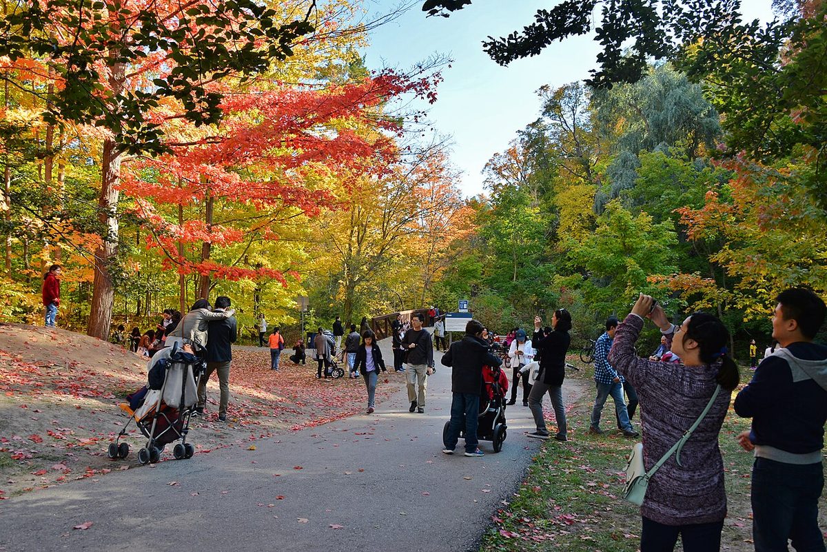 Edwards Gardens and Toronto Botanical Garden, Banbury-Don Mills