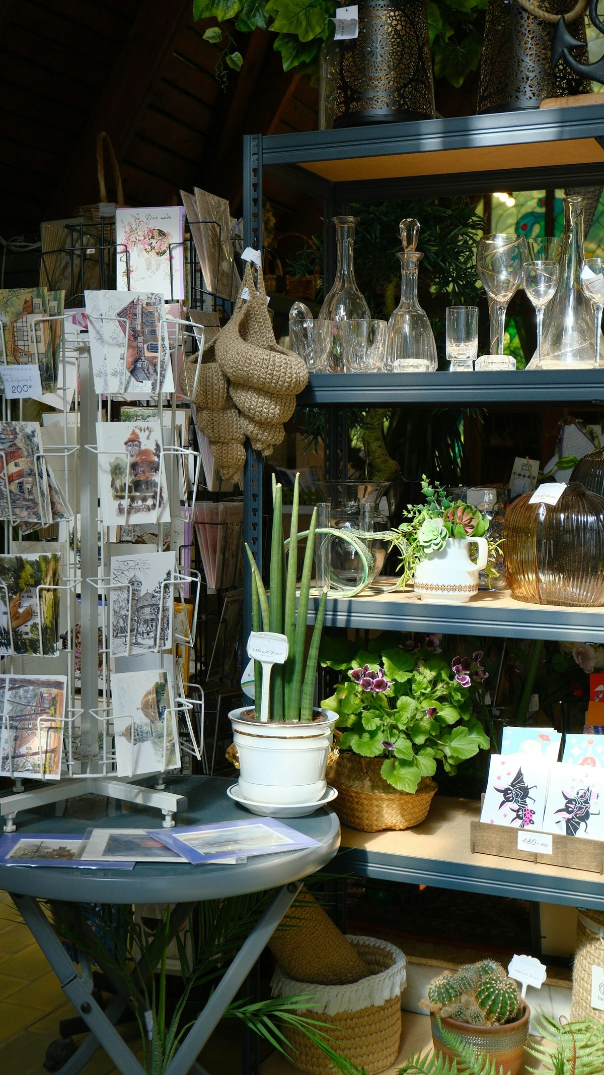 For Spacing Store: Shop shelves with glassware, small plants and a rack of cards (portrait).